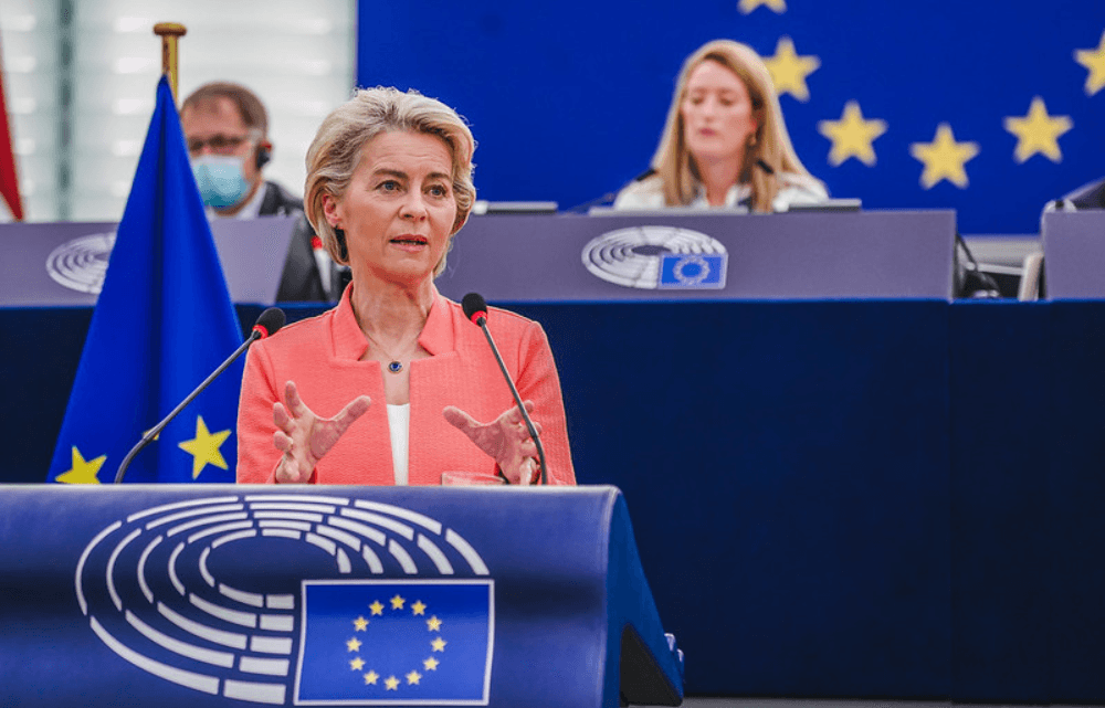 The European Union at the Crossroads: Internal Challenges and External Pressures in 2025