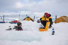 The Wild Side of Science: Adventures in Canadian Fieldwork